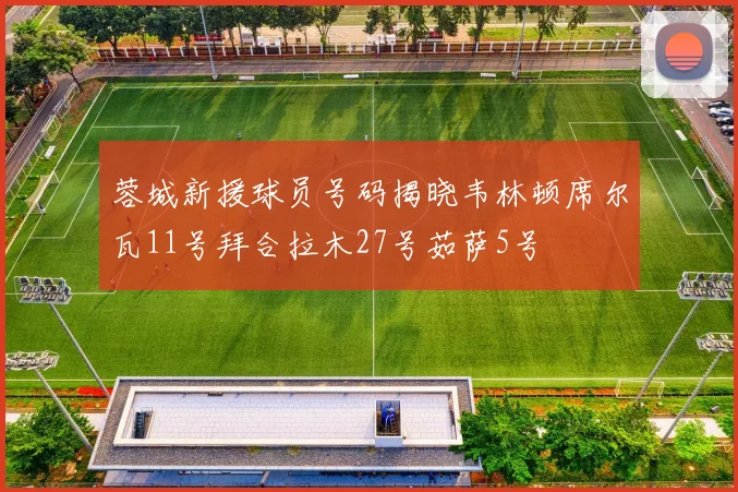 蓉城新援球员号码揭晓韦林顿席尔瓦11号拜合拉木27号茹萨5号