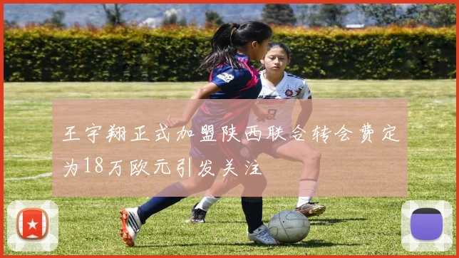 王宇翔正式加盟陕西联合转会费定为18万欧元引发关注