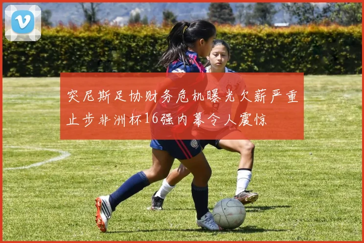 突尼斯足协财务危机曝光欠薪严重止步非洲杯16强内幕令人震惊